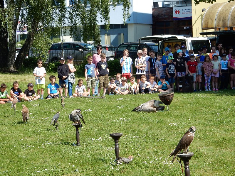 1. června 2023