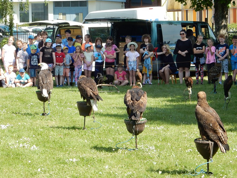 1. června 2023