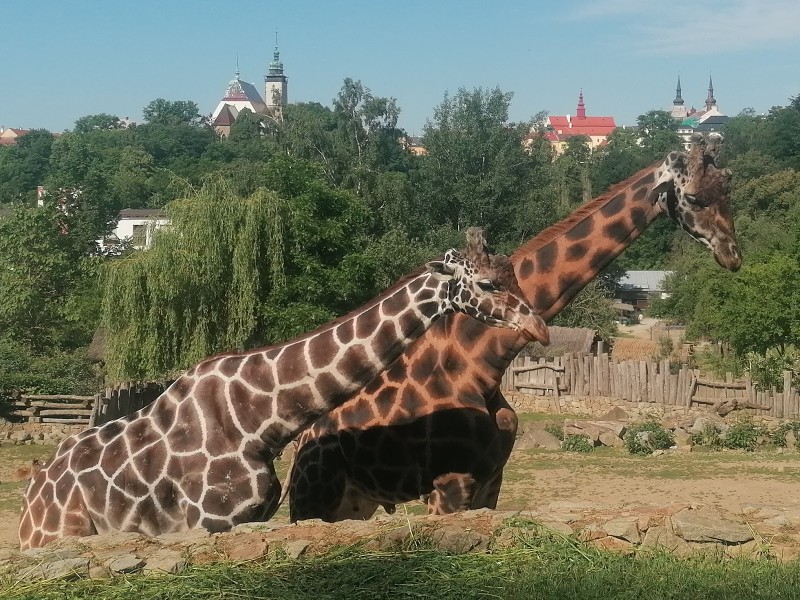 13. června 2023