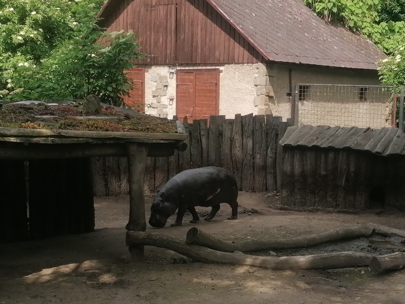 13. června 2023