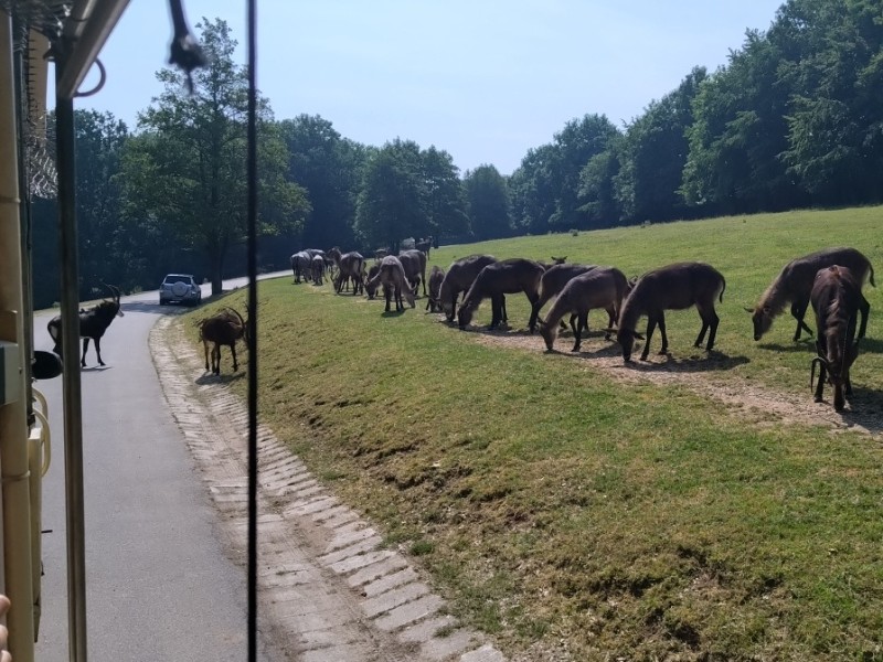 21. června 2023