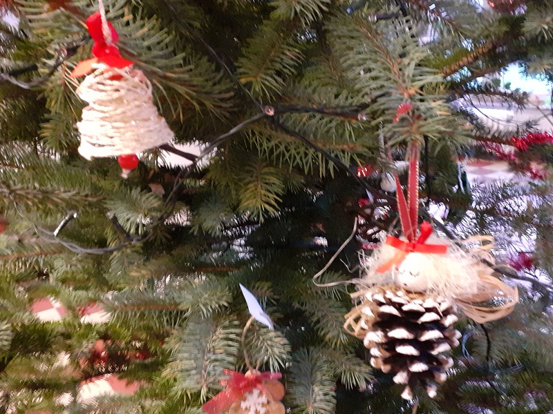 listopad a vyhlášení výsledků 12. prosince 2025