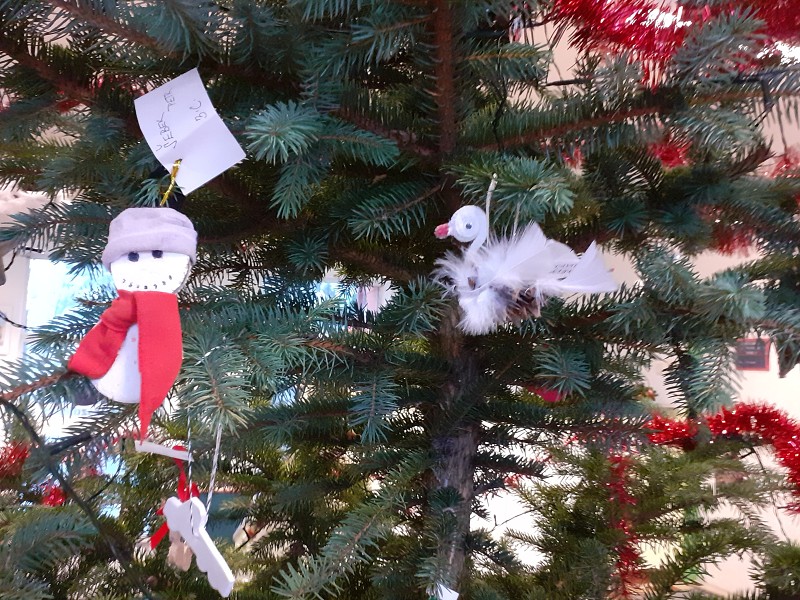 listopad a vyhlášení výsledků 12. prosince 2025